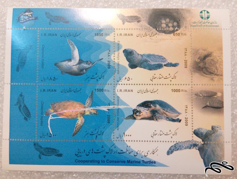مینی شیت زیبای 1388 حفاظت از لاک پشتهای دریایی (04)+