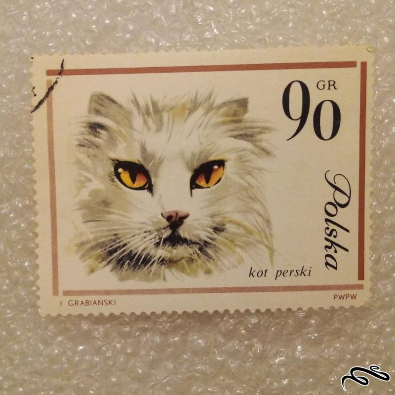 تمبر زیبای قدیمی لهستان PWPW . گربه (92)3