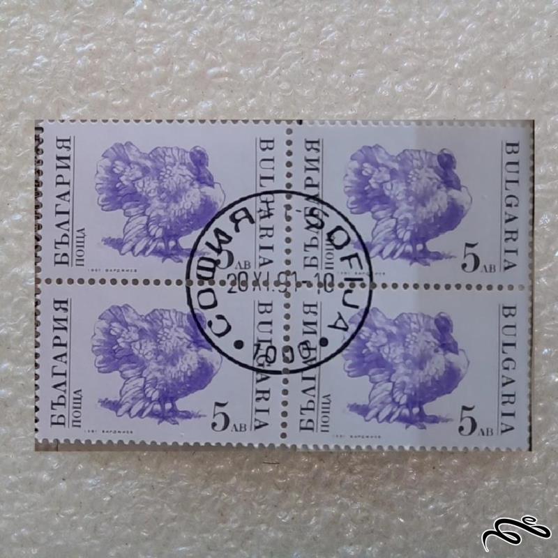 بلوک تمبر بلغارستان 1991 بوقلمون م گمرکی (38)