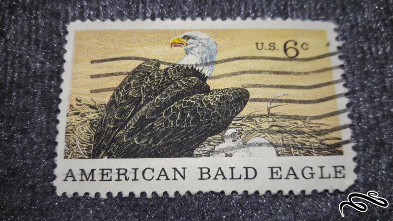 تمبر باارزش قدیمی و کلاسیک ۶ سنت امریکا . عقاب . باطله (۹۴)۴