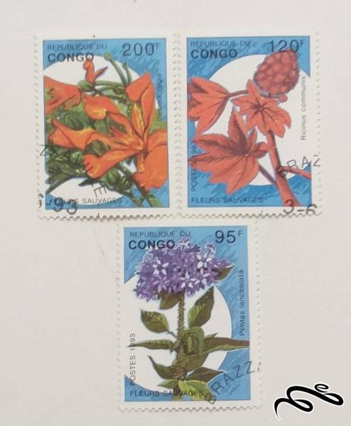 ۳ تمبر ارزشمند ۱۹۹۳ گلها ، کنگو (۹۹)۱+F