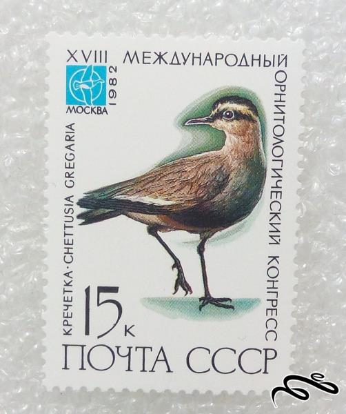 تمبر زیبای 1982 شوروی CCCP.پرنده (98)5+F
