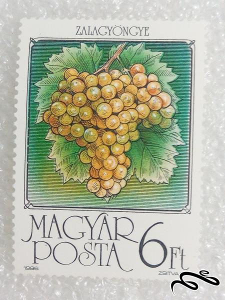 تمبر فوق العاده زیبای 1984 مجارستان انگور (98)5 F