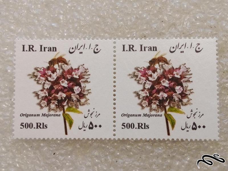 ۲ تمبر ۱۳۹۴ گیاهان دارویی بزرگ مرزنجوش (۹۰)۶