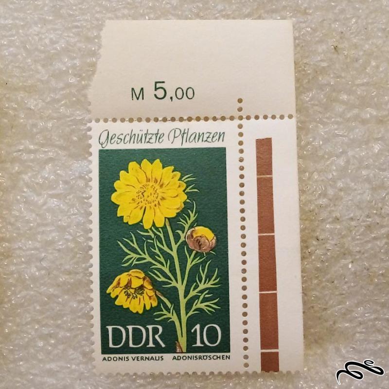 گوشه تمبر زیبای باارزش DDR  المان . گل (۹۳)۷