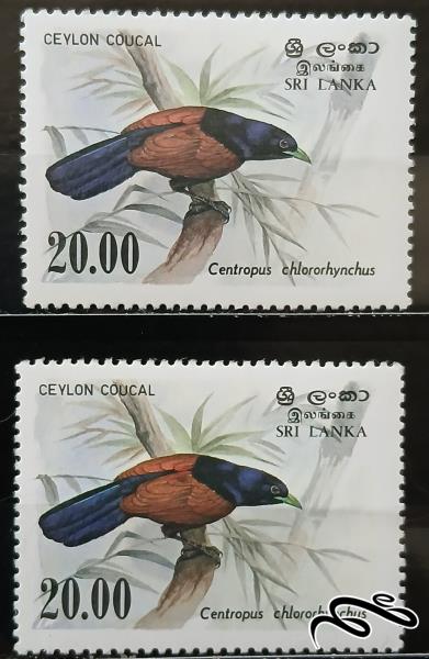 پرندگان birds / سریلانکا 1983