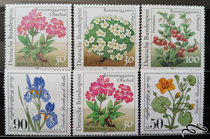 گل ها  / المان 1981-1991