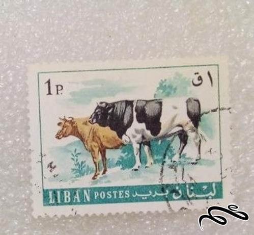 تمبر باارزش کلاسیک لبنان . گاو .باطله (۹۶)۹