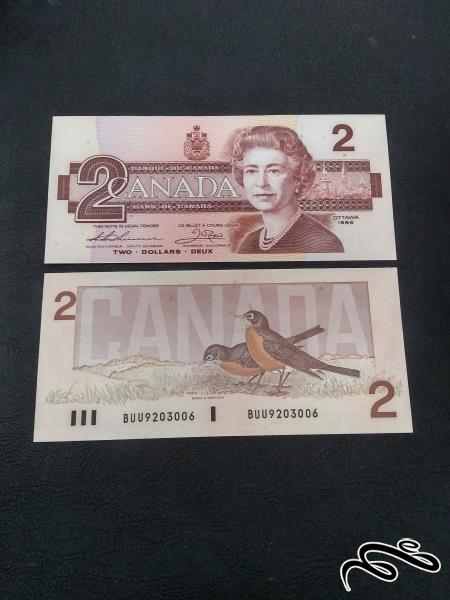 تک 2 دلار کانادا 1986 سوپر بانکی