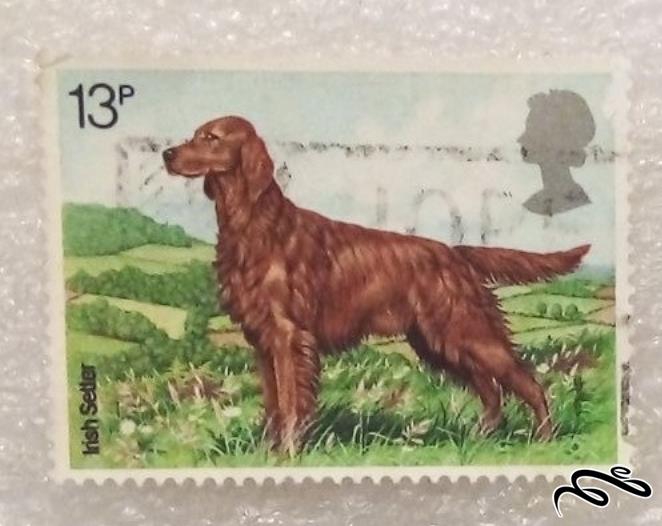 تمبر باارزش قدیمی و کلاسیک انگلیس حیوانات (97)9