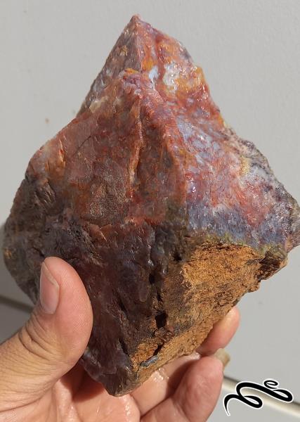 سنگ راف بزرگ شجر بسیار خاص و زیبا به وزن بیش از یک کیلوگرم