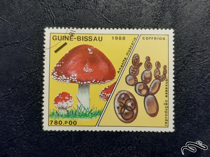 تمبر  قارچ - گینه -  1988