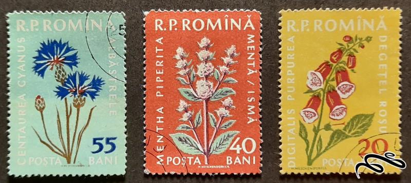 سه تمبر رومانی - گل