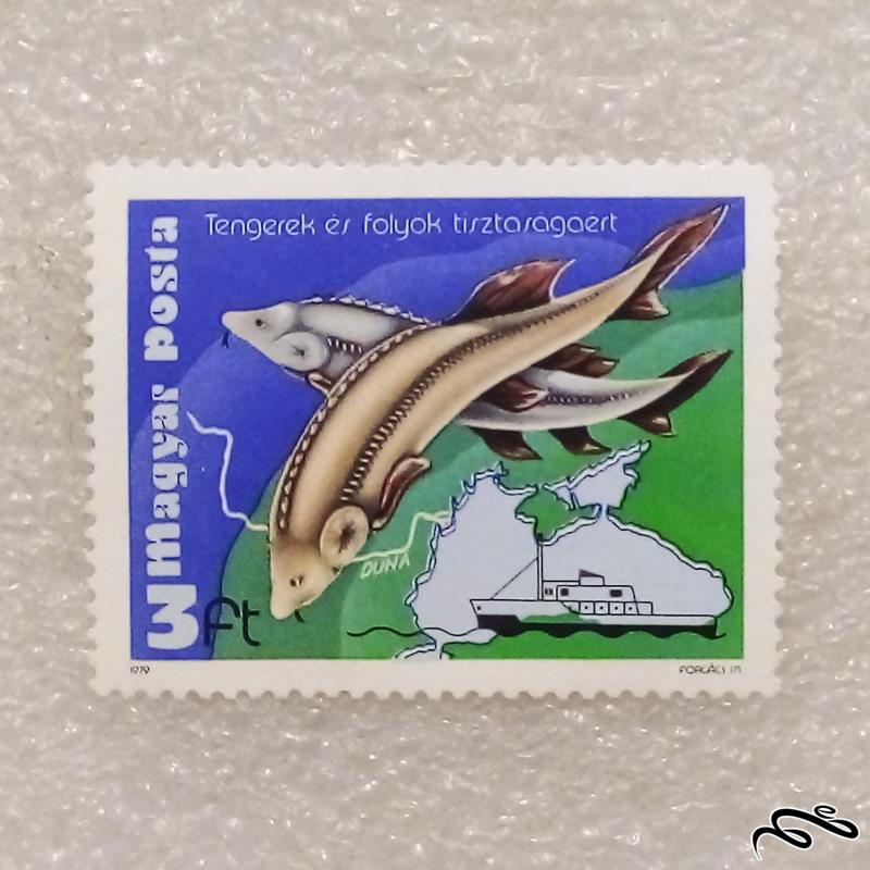 تمبر باارزش قدیمی ماهیان خاویاری مجارستان(96)2