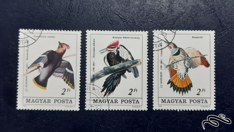 سری تمبر  پرندگان - مجارستان 1985