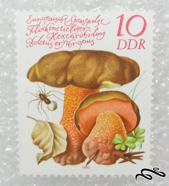 تمبر قدیمی ارزشمند ۱۹۸۰ المان DDR.قارچ (۹۸)۶+F