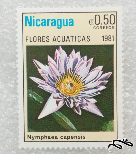 تمبر یادگاری زیبای ۱۹۸۱ نیکاراگوئه.گل (۹۸)۷+F
