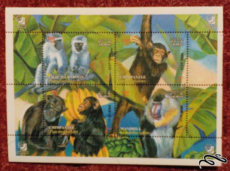 مینی شیت زیبای 1385 جمهوری. خانواده میمونها.شامپانزه ها (96-0)