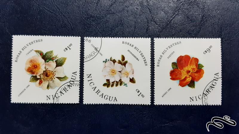 سری تمبرهای گل های رز - نیکاراگوئه 1986