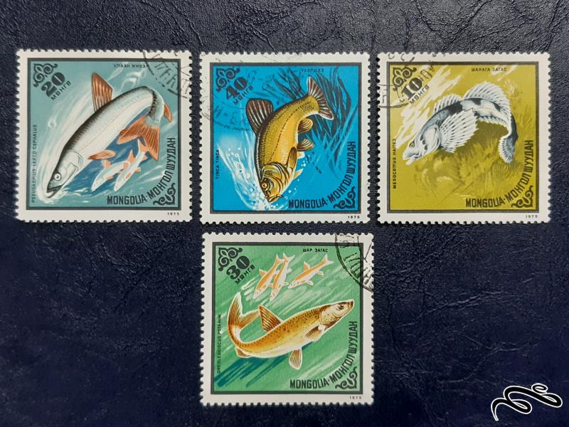 سری  قدیمی تمبرهای گونه ماهیان - مغولستان 1975