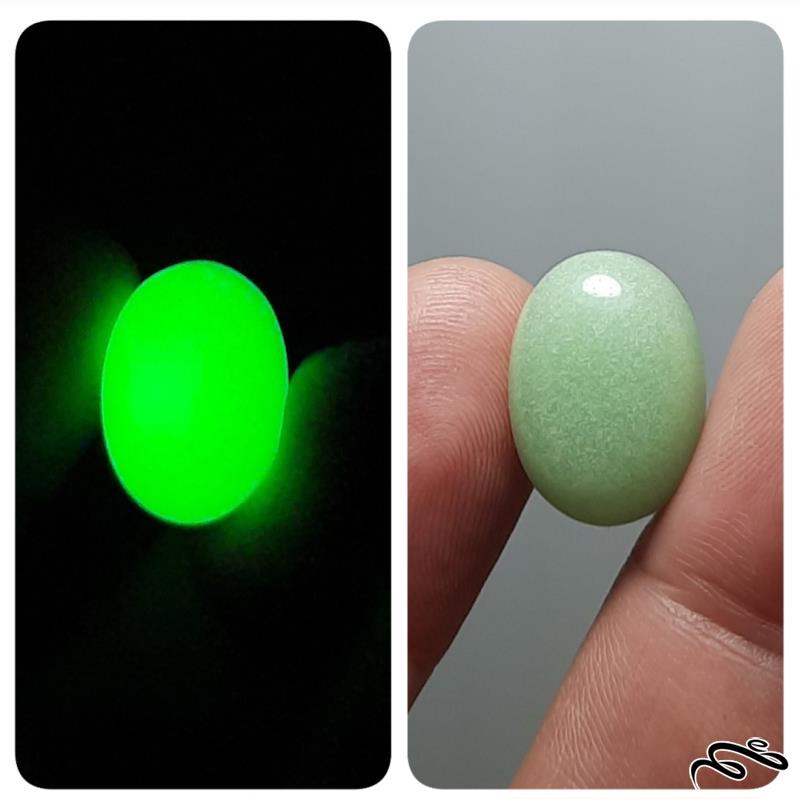 گوهر شب چراغ پر نور درشت با تلالو نور سبز فراوان