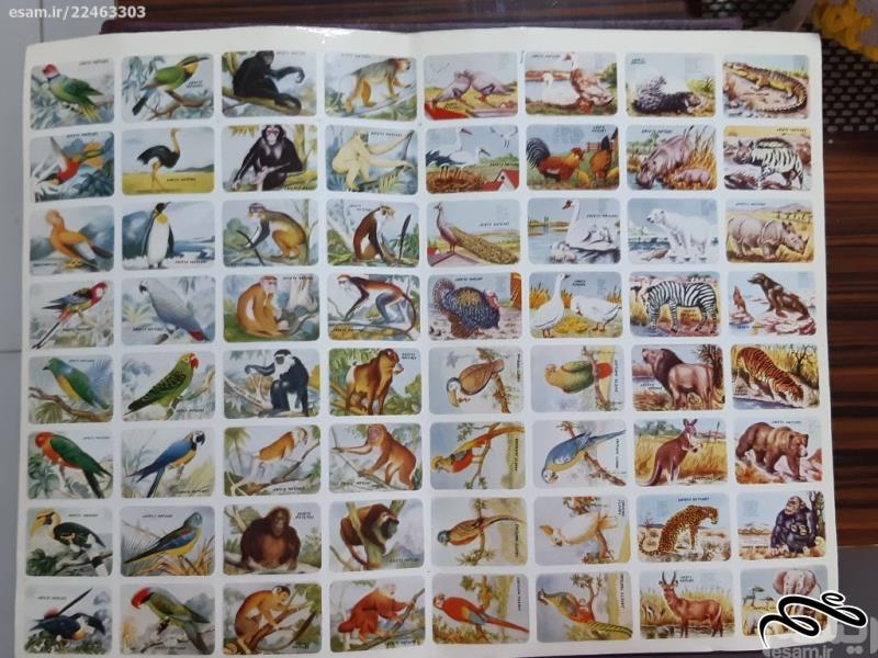 لیبل کبریت - قدیمی - حیوانات و پرندگان - 64 عددی