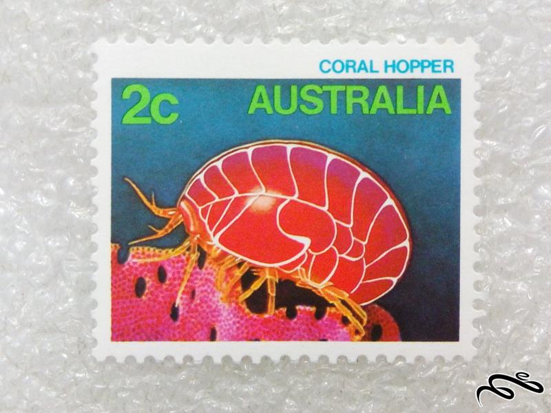 تمبر یادگاری قدیمی استرالیا.حشره (۹۸)۷+F