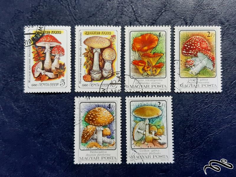سری تمبرهای قارچ - مجارستان 1986