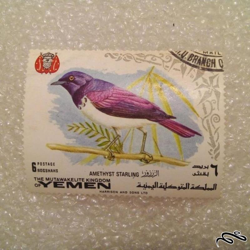 تمبر زیبای عربی یمن . پرنده (۹۳)۳