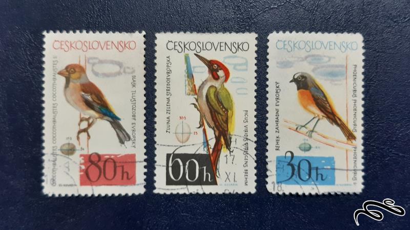 سری تمبر قدیمی پرندگان - چکسلواکی
