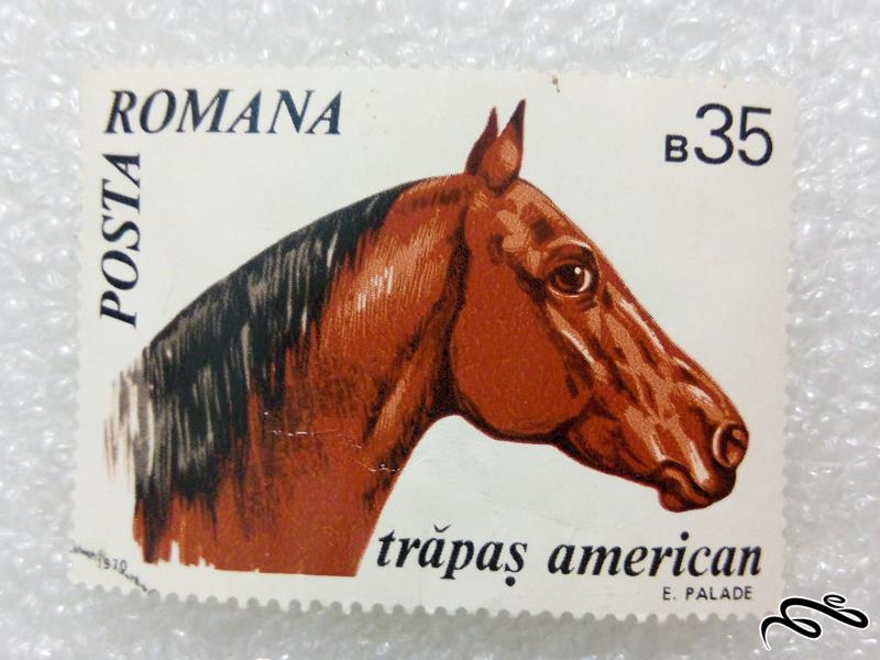 تمبر ارزشمند 1971 رومانی.اسب (98)3