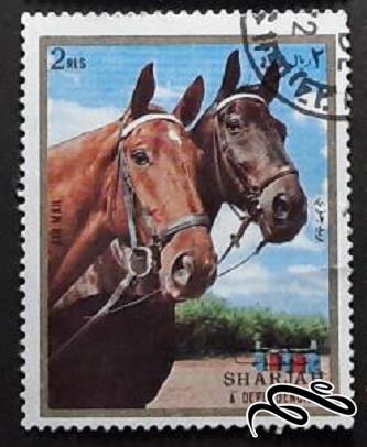 تمبر زیبای باارزش عربی شارجه . اسب . باطله (۹۴)۲