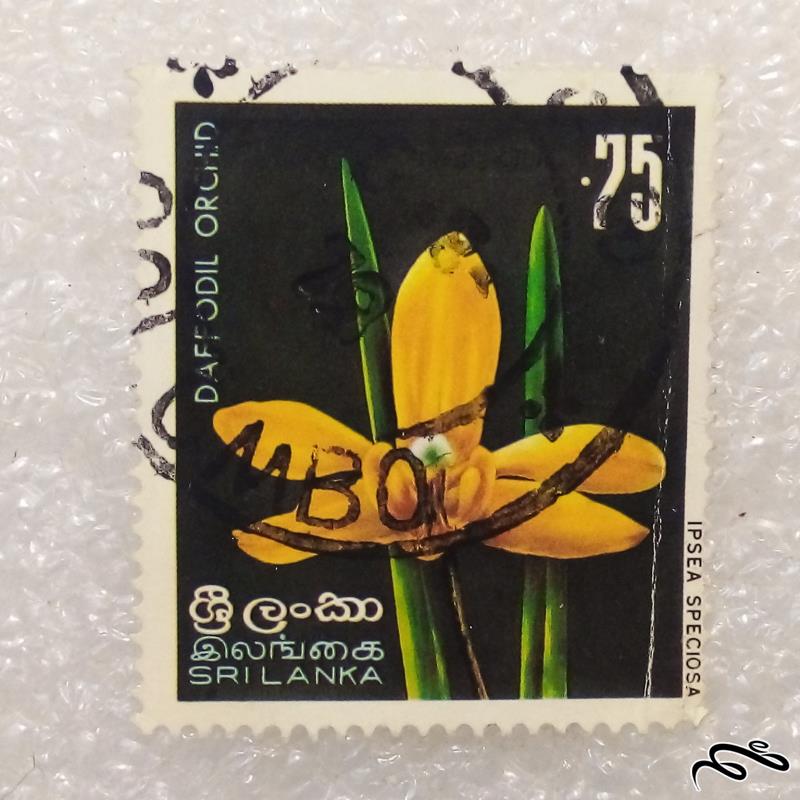 تمبر باارزش قدیمی سریلانکا . گل (98)1