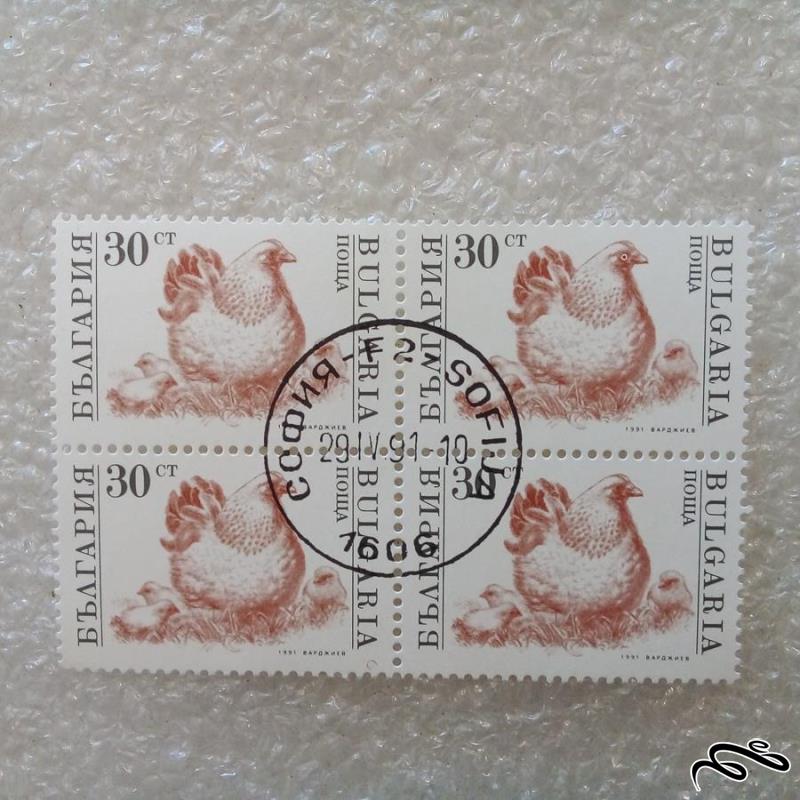 بلوک تمبر بلغارستان 1991 مرغ جوجه دار م گمرکی (0)