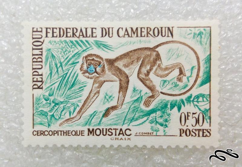 تمبر ارزشمند قدیمی و زیبای خارجی.میمون.کامرون (99)5