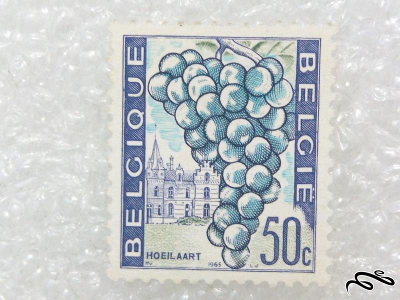 تمبر زیبا، قدیمی و ارزشمند 1965 کشور بلژیک.انگور (98)3