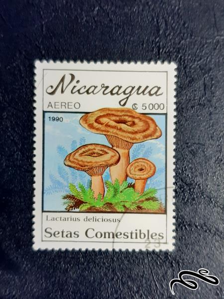 تمبر  نیکاراگوئه-  1990-