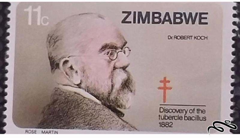 تمبر زیبای قدیمی ۱۹۸۲ زیمبابوه (۹۵)۱