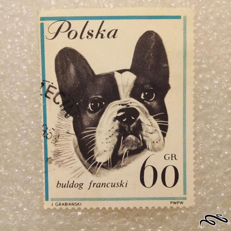 تمبر زیبای باارزش لهستان PWPW . سگ (۹۲)۳