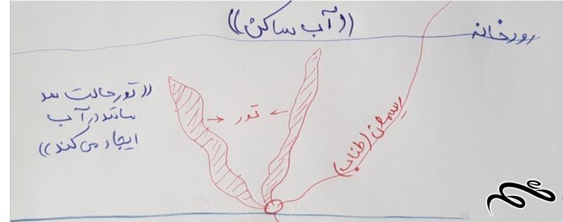 تور ماهیگیری (نوع موشکی) ((1))