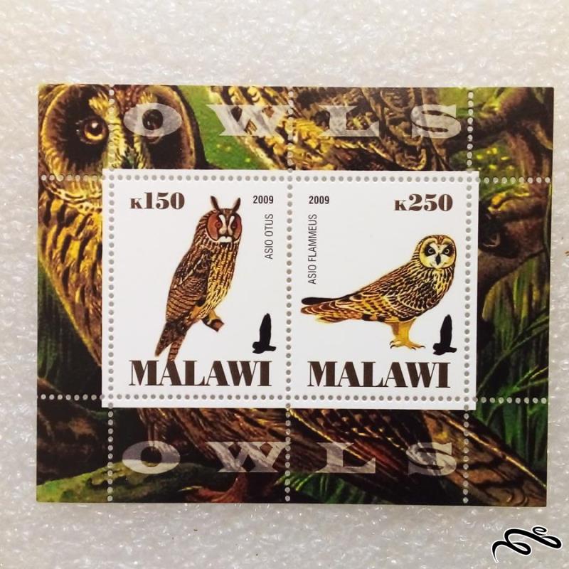 مینی شیت مالاوی 2009 پرنده جغد (010)+