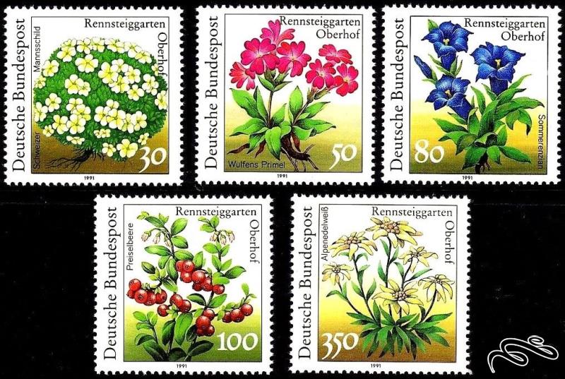 🇩🇪 آلمان 1991 Plants