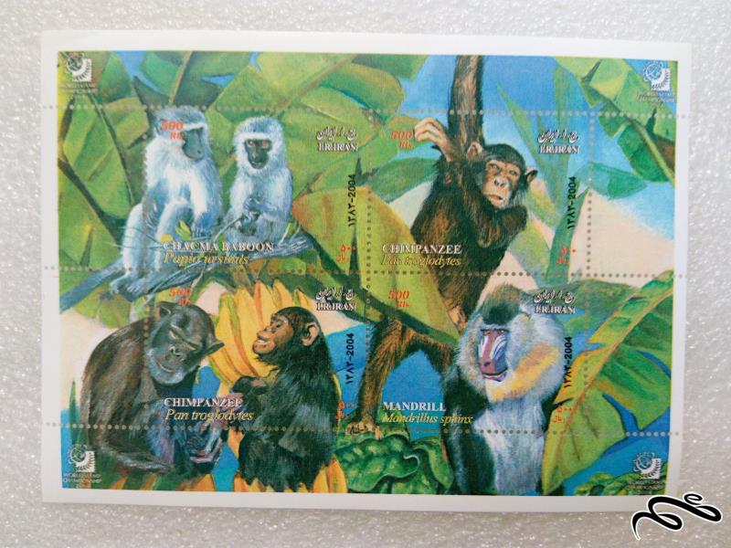 مینی شیت زیبای 1383 جمهوری شامپانزه میمونها (03)+