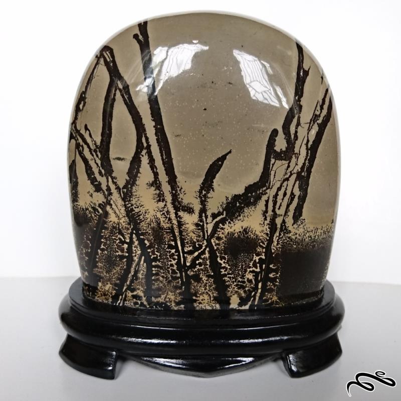 سنگ راف جاسپر منظره معدنی نایاب (Picture Jasper)