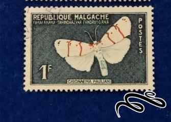 تمبر زیبا و قدیمی مالگاچی ماداگاسکار . پروانه . باطله (94)2