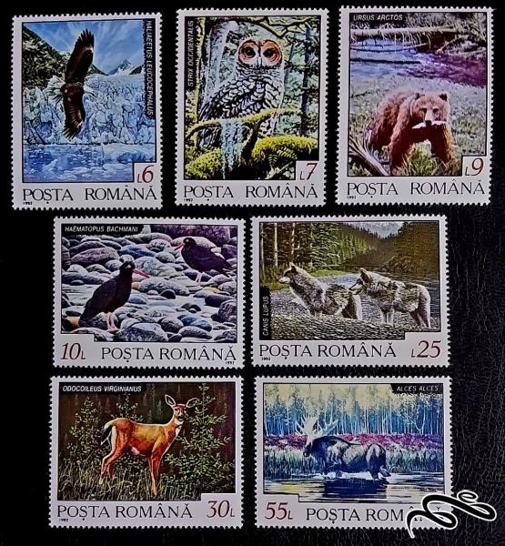 جانوران منطقه شمالی / رومانی 1992