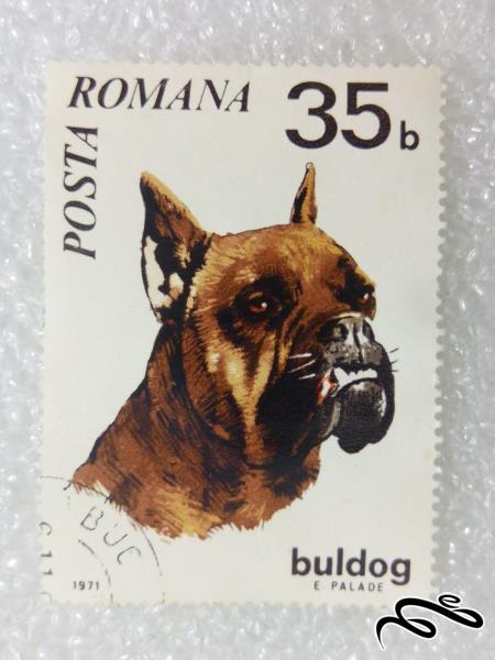 تمبر ارزشمند 1971 رومانی.سگ (98)3