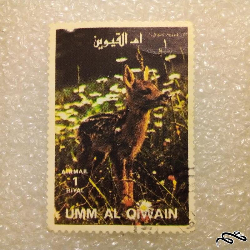 تمبر باارزش قدیمی ام القیون / حیوانات / گمرکی (92)6