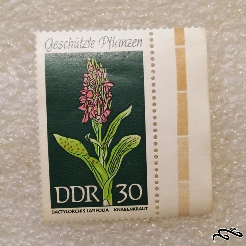 حاشیه تمبر زیبای باارزش DDR  المان . گل (93)7
