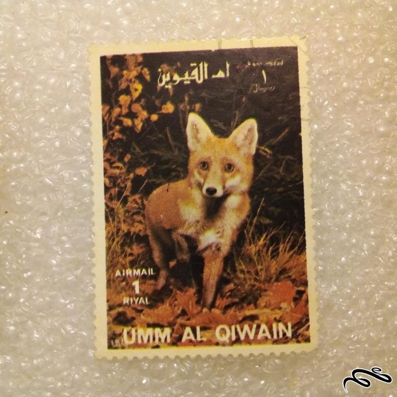 تمبر باارزش قدیمی ام القیون / حیوانات / گمرکی (92)6